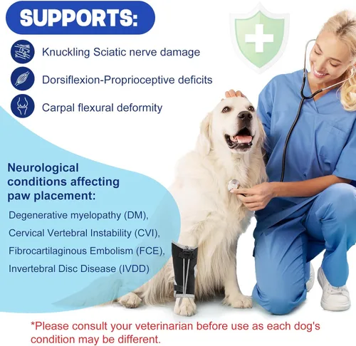 Miniatura 3 de Muñuelos para perros para hiperflexión de falanges causada por daño del nervio ciático y deformidad flexional carpiana - Correas de bloqueo dobles