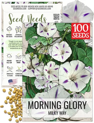 Seed Needs Milky Way Morning Glory - Semillas para plantar enredaderas con flores, reliquia y escaladores polinizados abiertos para crear una cerca