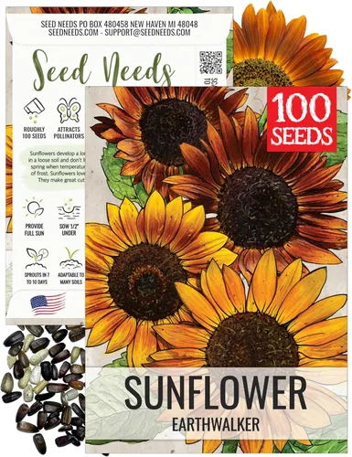 Miniatura 58 de Seed Needs Semillas de girasol para plantar girasoles de manchas solares enanas, semillas de flores de corte anual de polinización abierta