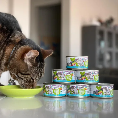 Miniatura 9 de Weruva B.F.F. OMG – mejor amigo felino Oh My Gravy! Latas de comida húmeda natural sin granos, recetas de tierra y mar en salsa