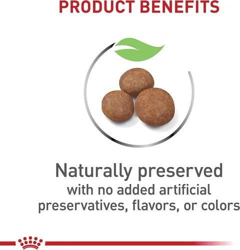 Miniatura 3 de Royal Canin Size Health Nutrition - Alimento seco para cachorros grandes, bolsa de 17 libras