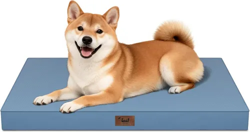 Miniatura 137 de Cama ortopédica de felpa para perros y cachorros medianos, camas impermeables para perros de 30 x 20 pulgadas con funda extraíble lavable, tapete