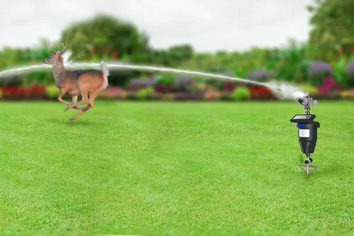 Miniatura 2 de Aspersores activados por movimiento para patio, repelente eficaz de ciervos y gatos, disuasorio de mofetas, repelente de mapache y perros, sistema