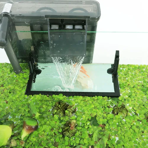 Miniatura 7 de HOZOE Jaula Flotante para Plantas de Acuario, Plantas Flotantes que Impiden el Paso de Filtros y Calentadores, Altura Ajustable con Nivel de Agua