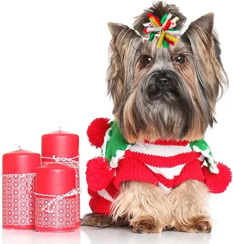 Miniatura 5 de PET SHOW 20 unidades/10 pares de moños rizados para el pelo de perros con bandas de goma para perros pequeños y medianos, en espiral