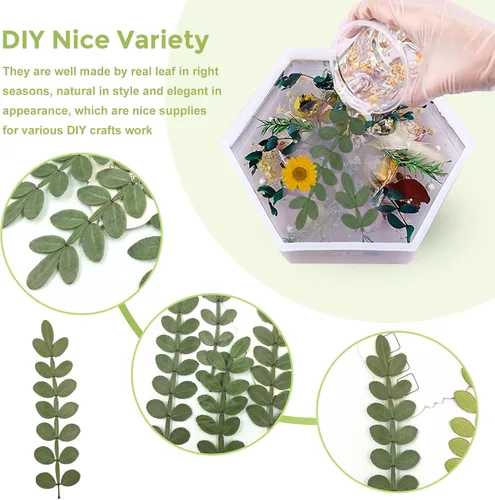 Miniatura 4 de Hojas secas prensadas naturales para resina, 42 piezas de hojas espinosas secas reales para arte de resina, manualidades, tarjetas, álbumes