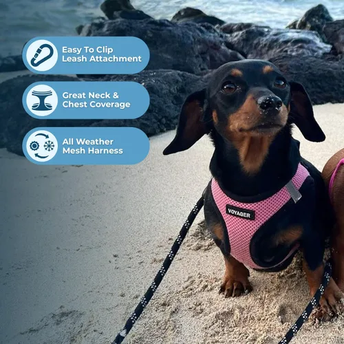 Miniatura 3 de Best Pet Supplies - Arnés de malla para perros, apto para todo tipo de clima; arnés tipo chaleco fácil de poner, para perros pequeños y medianos.