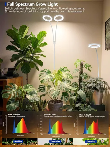 Miniatura 2 de GLOWRIUM Luces de cultivo para plantas de interior, lámpara de pie LED de espectro completo con soporte de altura y ángulo ajustables, luz
