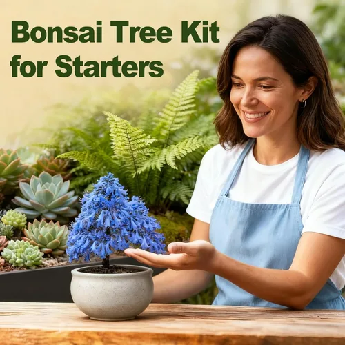 Miniatura 4 de Paquete de 5 Kits de Árbol Bonsái - 5 Semillas Kit Vivo de Planta de Árbol Bonsái en Crecimiento para Principiantes, Fácil de Cultivar Kits