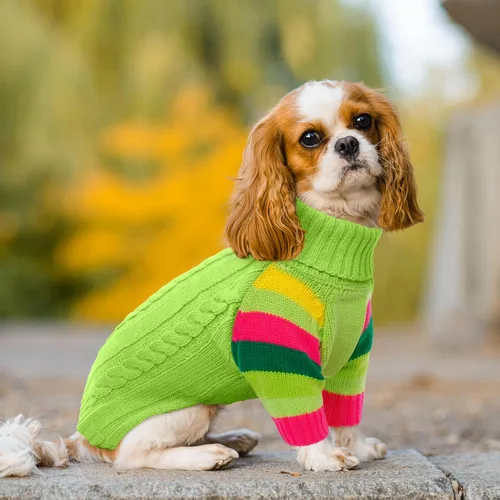 Miniatura 5 de Suéteres XXL elásticos para perros, suéter de punto de cuello alto para perros extra grandes, suéteres para perros de tamaño grande, suéter cálido