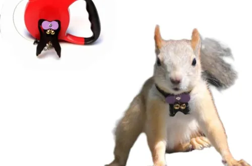 Miniatura 12 de Correa de cuerda de tracción de ardilla, cuerda de cadena antimordeduras, arnés para caminar pequeños animales con correa extensible para hámster