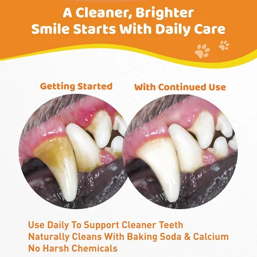 Miniatura 4 de Polvo de limpieza de dientes de perro – Polvo dental natural para perros – Ambientador suave del aliento de perro, removedor de placa de perro