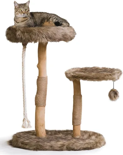 MAU - Moderna torre de árbol para gatos, rama natural, torre para gatos de madera de lujo, árbol rascador para gatos, condominio de gatos, regalo