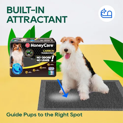 Miniatura 7 de HONEY CARE All-Absorb - Almohadillas de entrenamiento para cachorros, almohadillas para orina para perros, absorben eliminando el olor a orina
