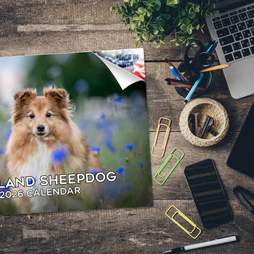 Miniatura 264 de Razas de Perros 2017 ESKIMO AMERICANO