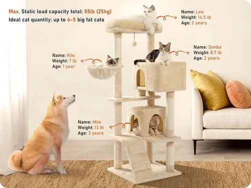 Miniatura 2 de Árbol para gatos de interior, 2 acogedores condominios con espaciosa percha superior, torre para gatos de varios niveles de 56.3 pulgadas con postes