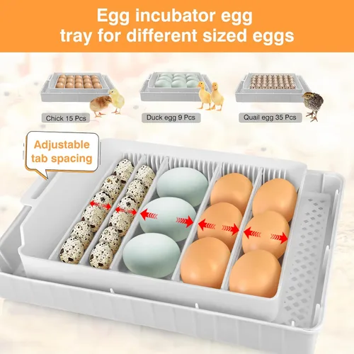Miniatura 5 de Incubadoras para incubar huevos de 15-35 huevos con giro automático de huevos y pantalla de temperatura ℉ Incubadora de aves de corral LED