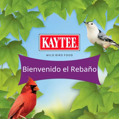 Miniatura 9 de Kaytee Nut & Fruit - Semilla de ave silvestre, 5 lb