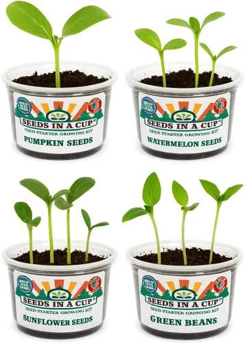 Miniatura 7 de Kit de cultivo de hierbas Iniciador de jardín de hierbas para interiores Semillas y tierra de primera calidad Paquete de 3 hierbas Múltiples