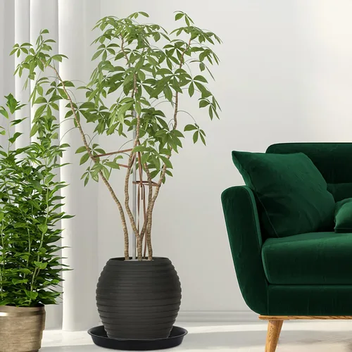 Miniatura 5 de Paquete de 8 Platillos de Plástico para Plantas de 10 Pulgadas 12 Pulgadas 14 Pulgadas 15 Pulgadas Bandejas de Goteo Platillos para Plantas