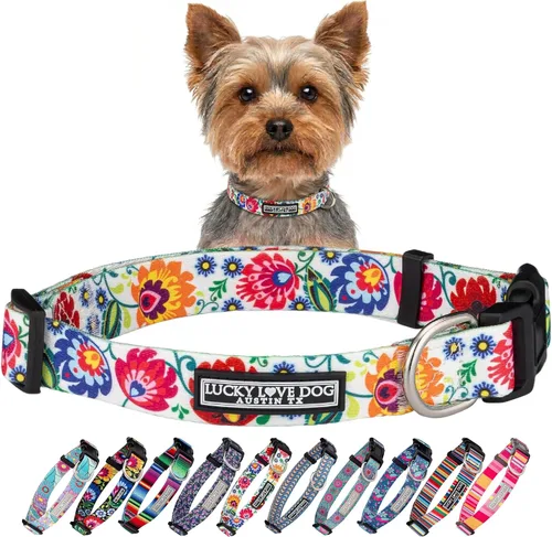 Lucky Love Dog - Collar para perras pequeñas, medianas y grandes, parte de la compra se dona a rescates, diseño Ladybird, talla XS Collar de