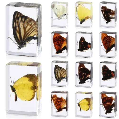 12 piezas de insectos de mariposa en resina colección de insectos, 12 estilos, kit de insectos reales preservado en resina para suministros de