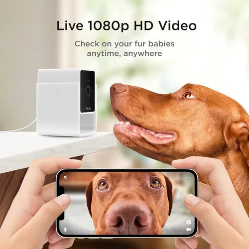 Miniatura 2 de Petcube Cam Cámara Wi-Fi interior para mascotas y de seguridad con aplicación para teléfono, monitor de mascotas con audio y video bidireccional