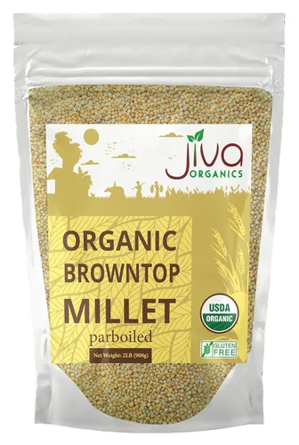Jiva Organics Browntop Millet Bolsa de 2 libras | Grano entero, sin gluten y orgánico | Superalimento rico en proteínas y fibra para una cocina