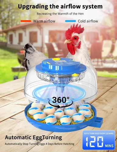 Miniatura 2 de Incubadora panorámica de huevos de 18 huevos de 360° con giro automático de huevos y control de humedad, perfecta para incubar pollos, patos