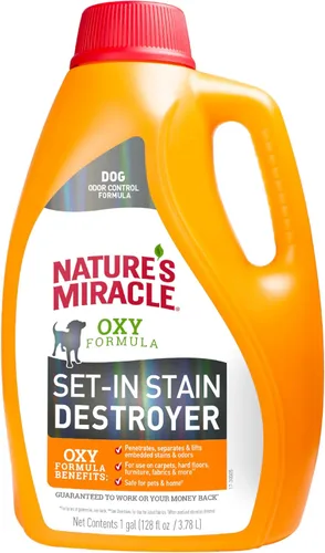 Nature's Miracle Set-In Stain Destroyer Dog 1 galón, fórmula Oxy con aroma a naranja, 128 onzas