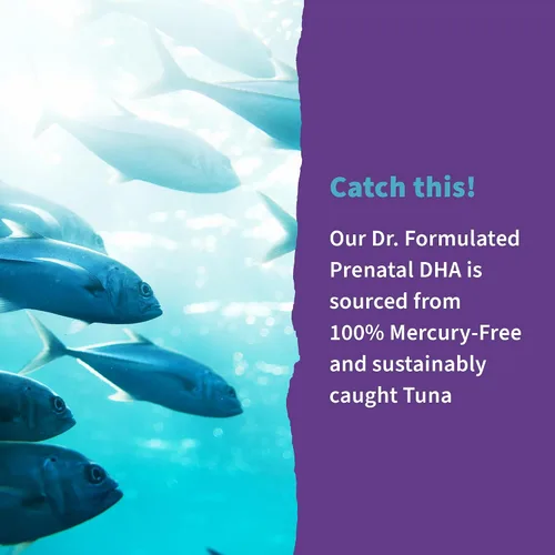 Miniatura 7 de Garden of Life Aceite de Pescado DHA Prenatal Formulado por Dr. - 500mg DHA y DPA en Forma de Triglicéridos 100% VD Vitamina D3, Fuente Única