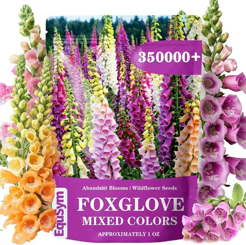 Más de 350.000 semillas de dedalera para plantar, semillas de Digitalis Purpurea, semillas de flores ornamentales altas para casas de campo al aire