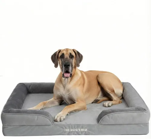 Miniatura 20 de The Dog's Bed - Cama para perros de espuma con soporte para perros XXL, Oxford gris, cama para perro lavable con forro impermeable extraíble, base