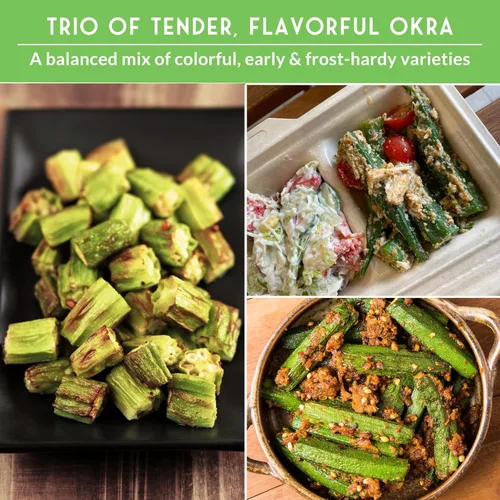 Miniatura 5 de Colección de semillas Okra para plantar, 3 variedades tradicionales de Clemson, sin espinas, borgoña rojo y verde esmeralda, paquete variado