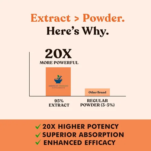 Miniatura 4 de American Standard Supplements Extracto de cúrcuma – Curcumina 95% con extracto de raíz de jengibre y extracto de pimienta negra – 60 cápsulas