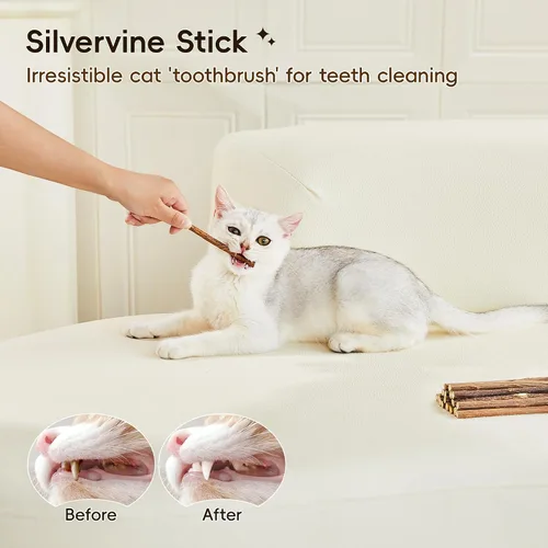 Miniatura 4 de Potaroma Juego de juguetes naturales para gatos con hierba gatera Silvervine y fruta con carcasa de felpa, juguetes orgánicos para gatitos