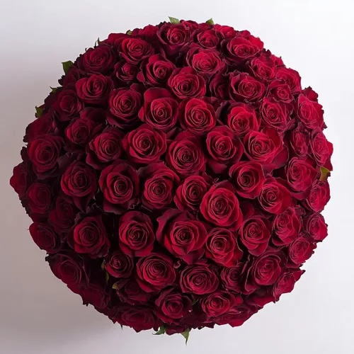 Miniatura 29 de GlobalRose Ramo de 100 Rosas Melocotón - Rosas de Origen Responsable Flores Frescas - Ramo Fresco de Flores Seleccionadas a Mano para Graduación
