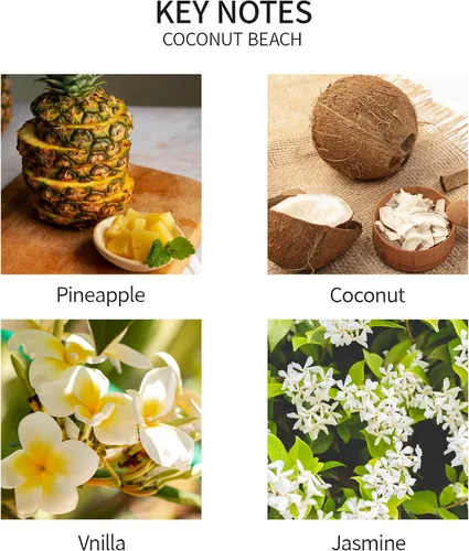 Miniatura 7 de Airkeep Juego de difusor de junco, 3.38 onzas líquidas, difusor de aceite de playa de coco con 8 varillas de caña, difusor de varillas de fragancia