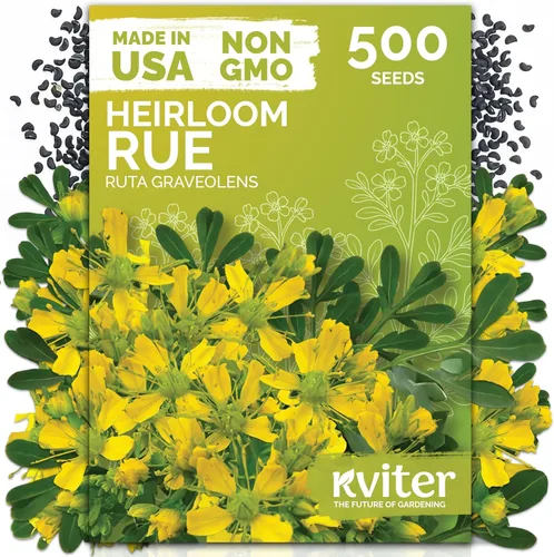Miniatura 27 de KVITER 1000 semillas de quinua de cordero (Chenopodium Album) - Hierbas comestibles autóctonas, ideales para jardines de hierbas orgánicas