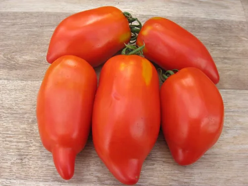 Miniatura 2 de Semillas Verduras Tomate en Forma de Pimienta - 25 Semillas