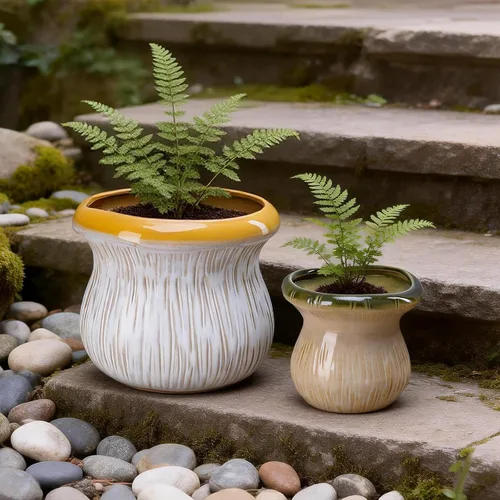 Miniatura 5 de Paquete de 2 macetas de cerámica con orificio de drenaje, macetas texturizadas de dos tonos para plantas de interior y exterior, pequeñas macetas