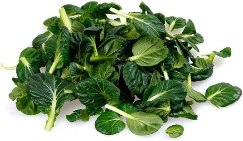 Tatsoi - Semillas verdes mostaza – Paquete de 50 semillas – Sin OMG – Una mostaza sin cabeza muy similar en sabor a bok Choi. - Country Creek LLC