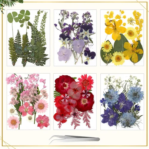 Miniatura 3 de Bucherry Marco de vidrio para bricolaje, arte de flores prensadas, marco de fotos colgante de latón con cadena y 6 estilos de flores prensadas