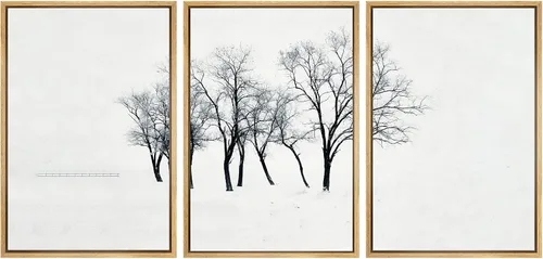 Miniatura 86 de SIGNWIN Lienzo enmarcado para pared, juego de arte nublado de tormenta, cielo, bosque otoñal, árboles, rústico, naturaleza, fotografía, realismo
