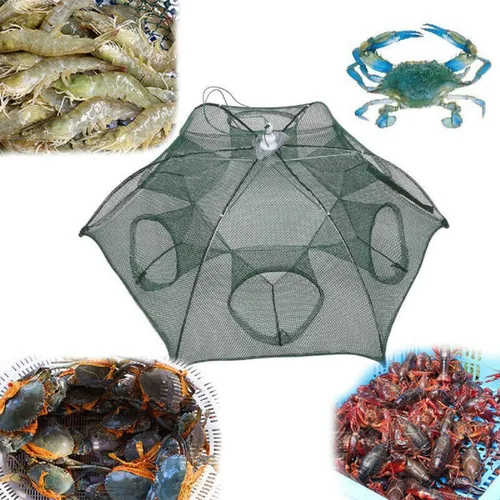 Cebo de pesca Trampa plegable para red de cangrejo Jaula de inmersión fundido Pescado Minnow cangrejo camarón
