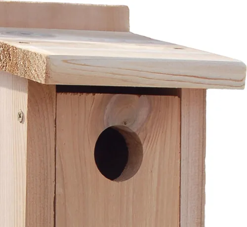Miniatura 5 de Woodlink NABB Audubon Cedar Bluebird Casa