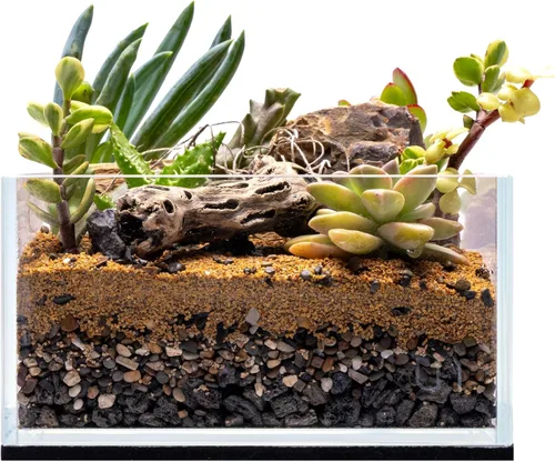 Miniatura 34 de UNS Acuario Ultra Claro Sin Borde - 25.6GAL 97.2L - 23.62x14.17x17.71 60x36x45 CM, Grosor de Vidrio de 6mm, Incluye Alfombrilla Nivelante