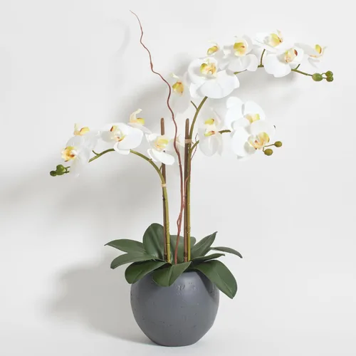 Miniatura 18 de CG Hunter Planta de orquídea sintética con suculentas, soporte de exhibición de flores artificiales de alta calidad para interiores de 23 pulgadas