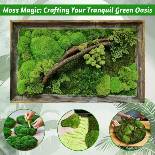 Miniatura 5 de TCYPUHL Cojín de musgo preservado verde oscuro de 1 pies cuadrados para plantas, manualidades de interior, arte de pared, bricolaje, terrarios