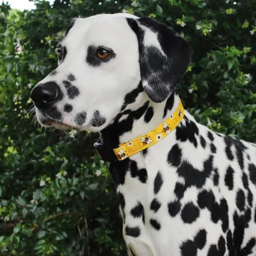 Miniatura 4 de Collar de perro de abejas Limeloot, collar de perro ajustable para perros machos y hembras, grande